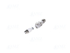 Racing Hydraulic Coupling