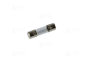 Glass Fuse - 20mm