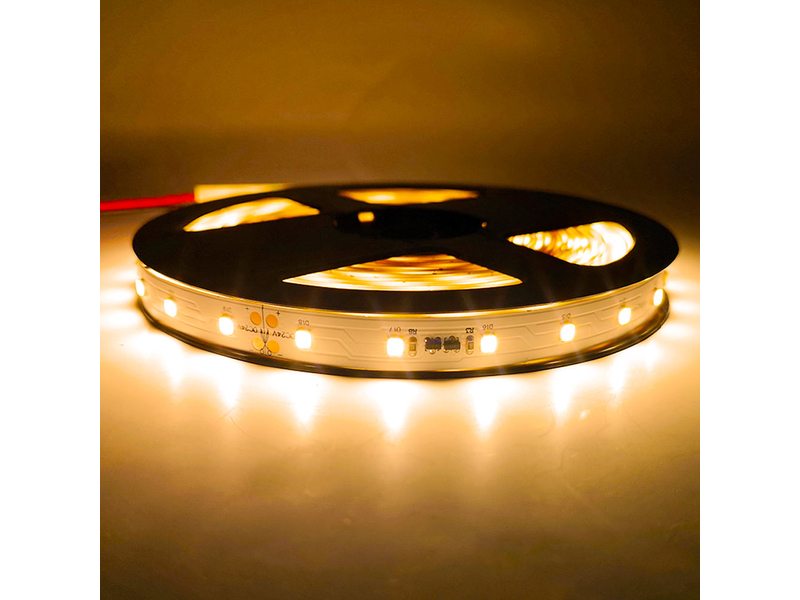 Led Strip With Silicone Enclosure